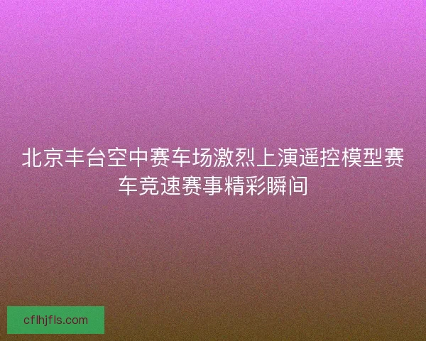 北京丰台空中赛车场激烈上演遥控模型赛车竞速赛事精彩瞬间