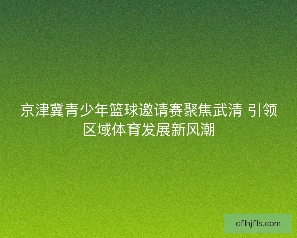 京津冀青少年篮球邀请赛聚焦武清 引领区域体育发展新风潮